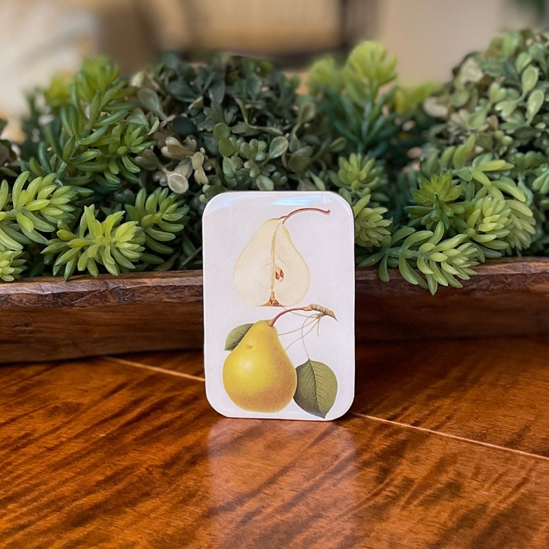 Tin Container with Magnet Large | Botanical Pear