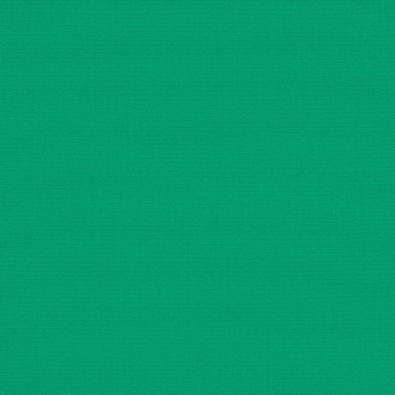 Sunbrella Awning / Marine 46″ Erin Green Fabric