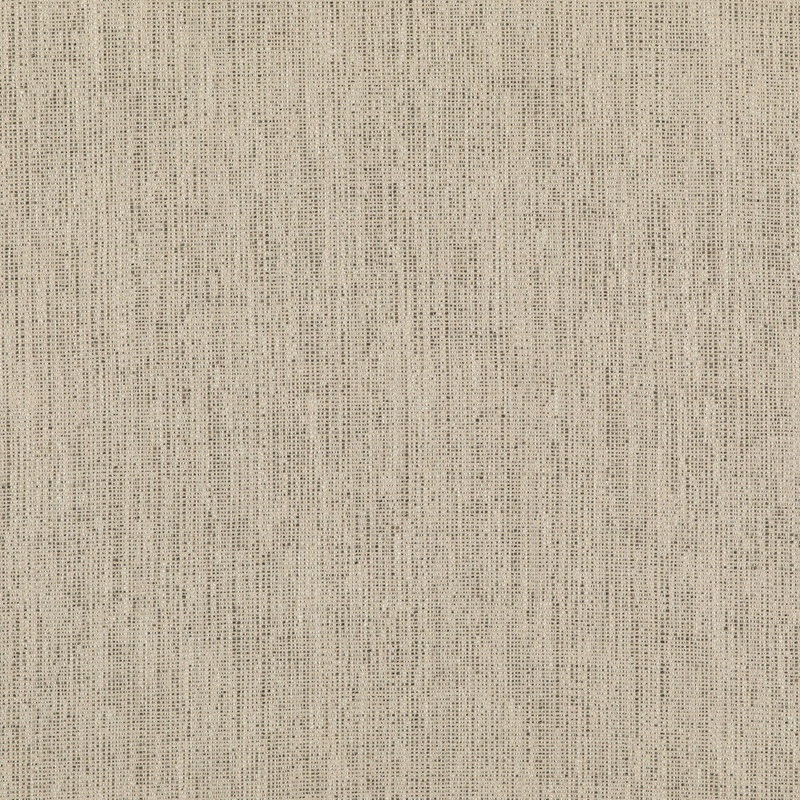 Threads Stipple Charcoal Fabric